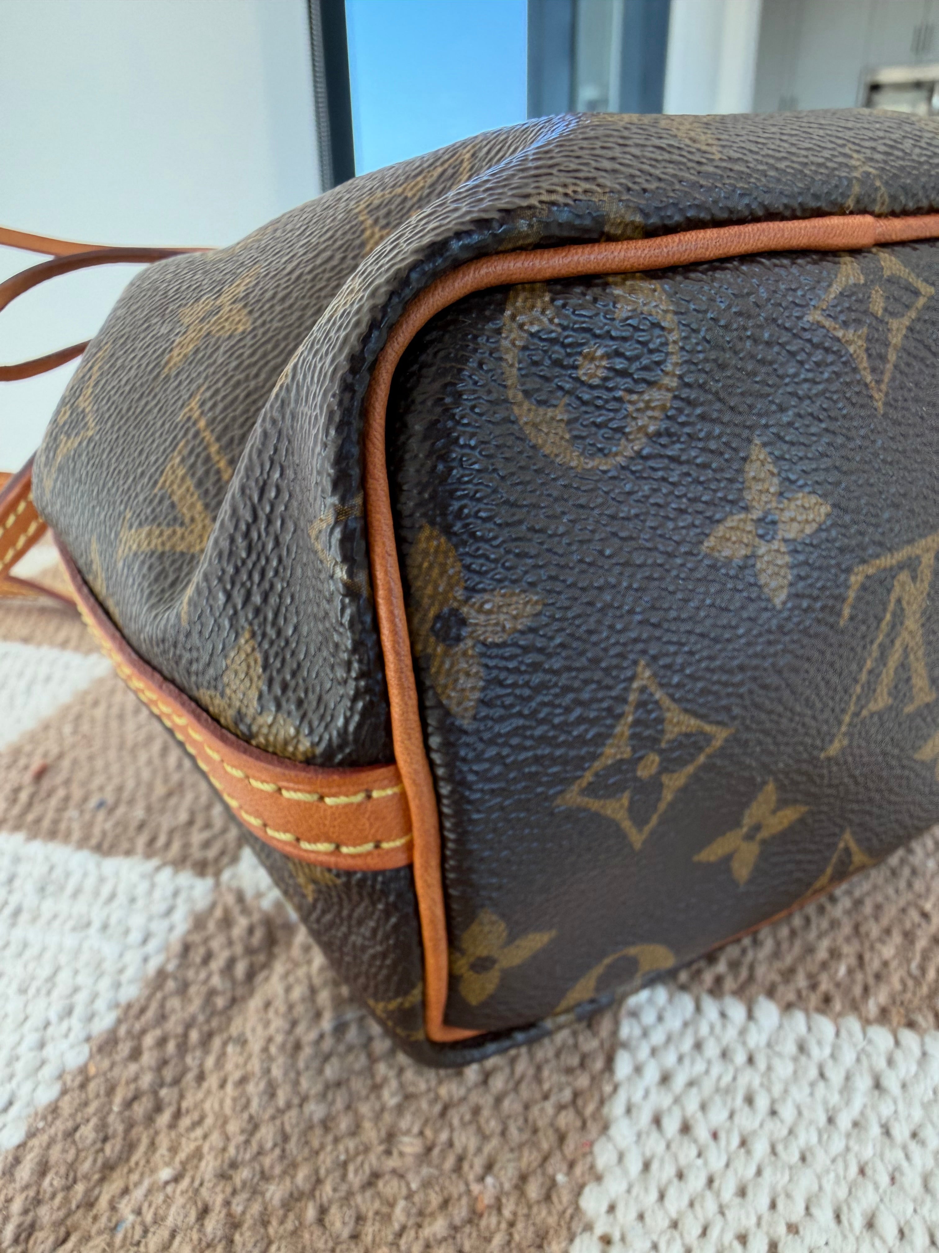 Louis Vuitton Nano Noé Monogram Canvas