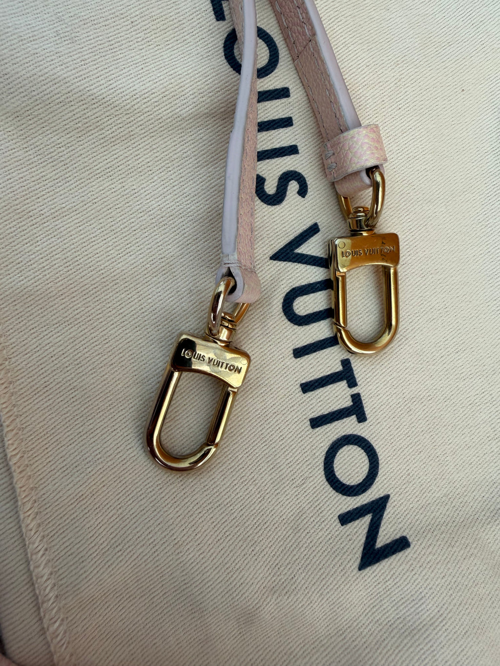 Louis Vuitton Nano Speedy - Stardust Collection