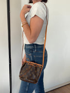 Louis Vuitton Nano Noé Monogram Canvas