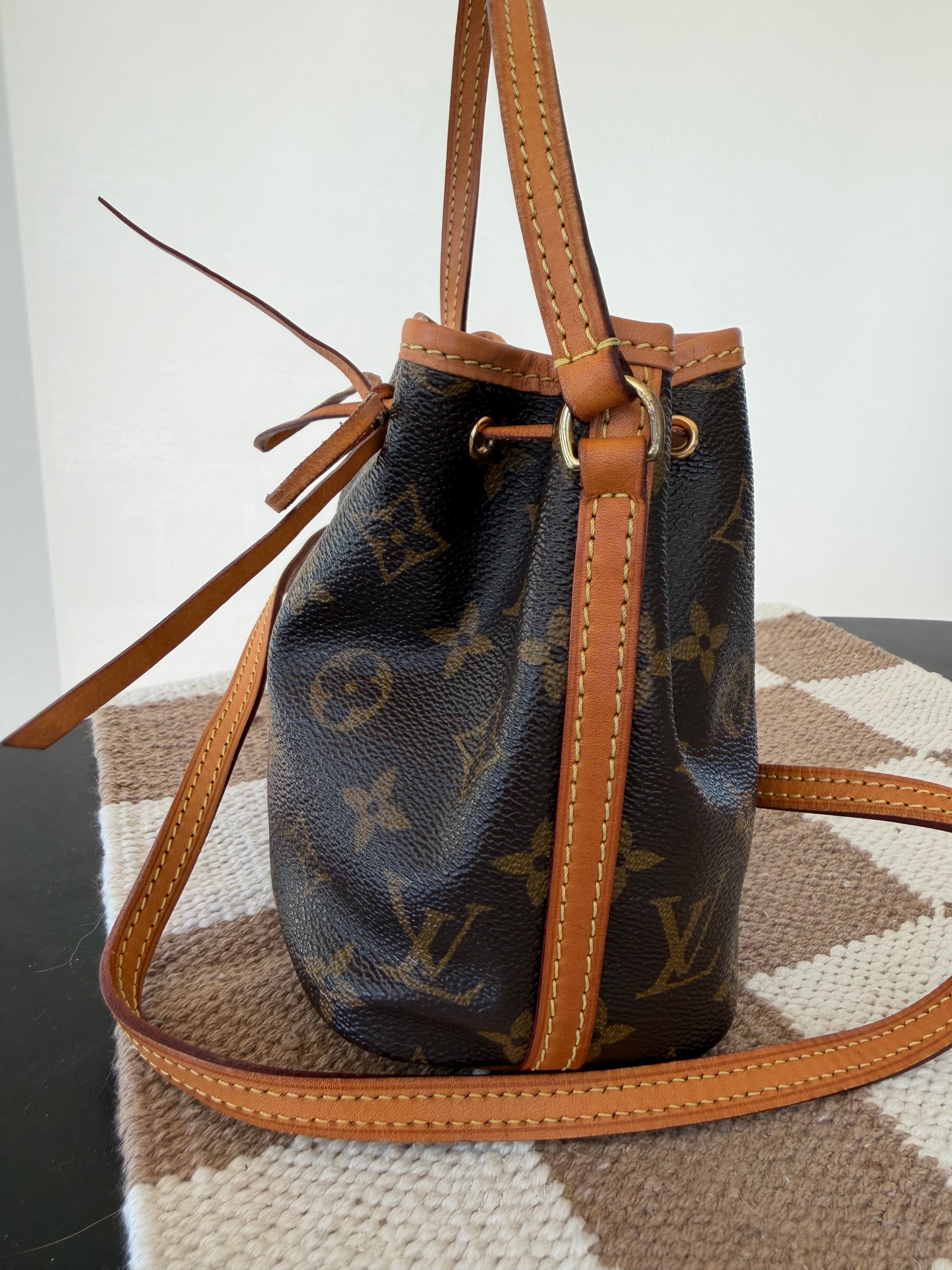 Louis Vuitton Nano Noé Monogram Canvas