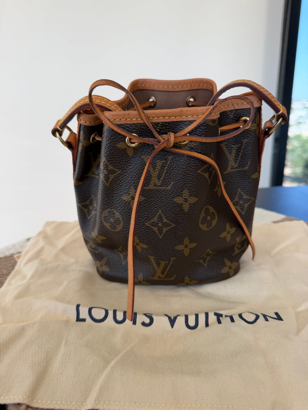 Louis Vuitton Nano Noé Monogram Canvas