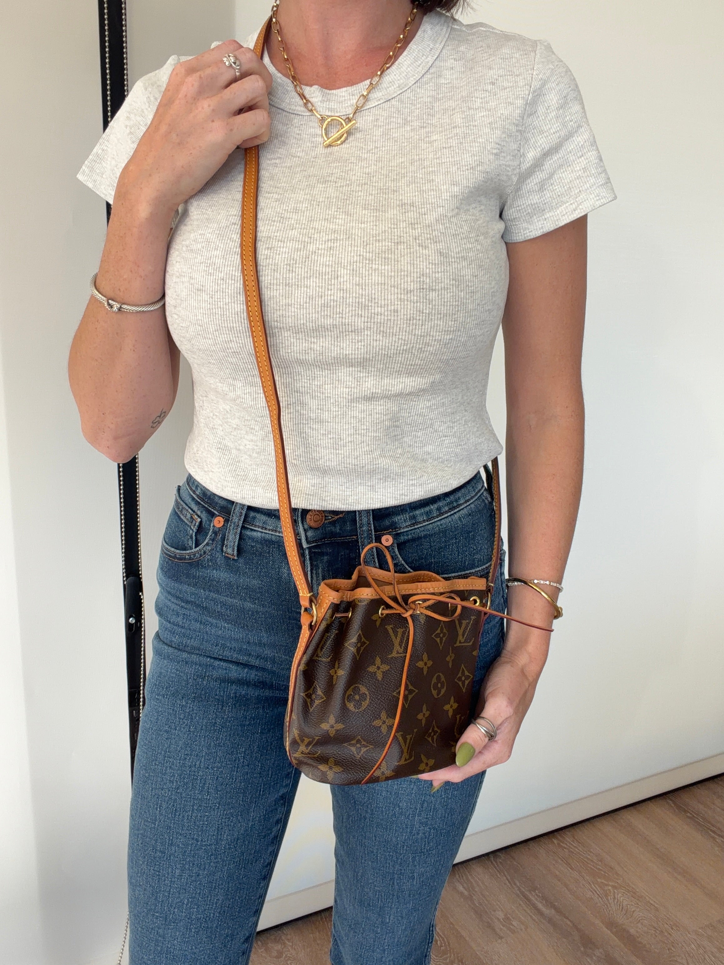 Louis Vuitton Nano Noé Monogram Canvas